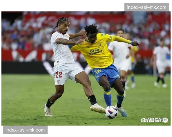 阿拉维斯、塞维利亚与马略卡同积31分,保级混战